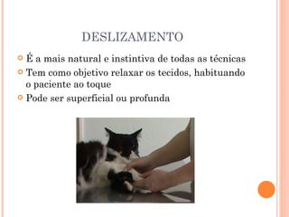 DESLIZAMENTO É a mais natural e instintiva de todas as técnicas Tem como objetivo relaxar os tecidos, habituando o paciente ao toque Pode ser superficial ou profunda 