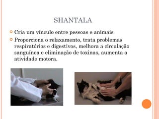 SHANTALA Cria um vínculo entre pessoas e animais Proporciona o relaxamento, trata problemas respiratórios e digestivos, melhora a circulação sanguínea e eliminação de toxinas, aumenta a atividade motora. 