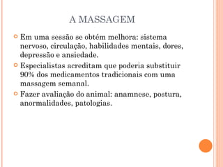 A MASSAGEM Em uma sessão se obtém melhora: sistema nervoso, circulação, habilidades mentais, dores, depressão e ansiedade. Especialistas acreditam que poderia substituir 90% dos medicamentos tradicionais com uma massagem semanal. Fazer avaliação do animal: anamnese, postura, anormalidades, patologias.  