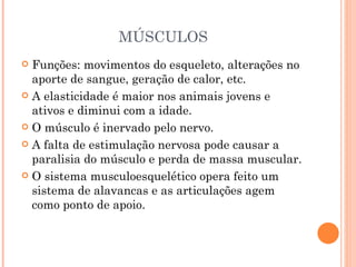 MÚSCULOS Funções: movimentos do esqueleto, alterações no aporte de sangue, geração de calor, etc. A elasticidade é maior nos animais jovens e ativos e diminui com a idade. O músculo é inervado pelo nervo. A falta de estimulação nervosa pode causar a paralisia do músculo e perda de massa muscular. O sistema musculoesquelético opera feito um sistema de alavancas e as articulações agem como ponto de apoio.  
