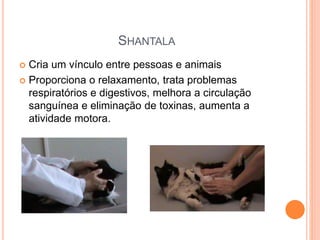 SHANTALA
 Cria um vínculo entre pessoas e animais
 Proporciona o relaxamento, trata problemas
respiratórios e digestivos, melhora a circulação
sanguínea e eliminação de toxinas, aumenta a
atividade motora.
 
