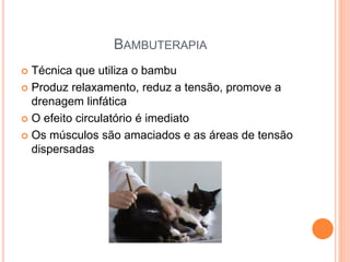 BAMBUTERAPIA
 Técnica que utiliza o bambu
 Produz relaxamento, reduz a tensão, promove a
drenagem linfática
 O efeito circulatório é imediato
 Os músculos são amaciados e as áreas de tensão
dispersadas
 