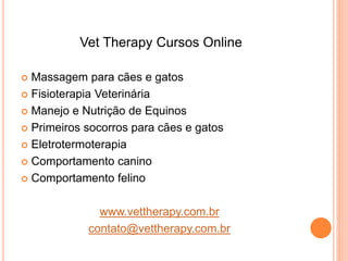 Vet Therapy Cursos Online
 Massagem para cães e gatos
 Fisioterapia Veterinária
 Manejo e Nutrição de Equinos
 Primeiros socorros para cães e gatos
 Eletrotermoterapia
 Comportamento canino
 Comportamento felino
www.vettherapy.com.br
contato@vettherapy.com.br
 
