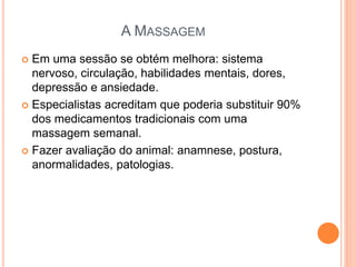 A MASSAGEM
 Em uma sessão se obtém melhora: sistema
nervoso, circulação, habilidades mentais, dores,
depressão e ansiedade.
 Especialistas acreditam que poderia substituir 90%
dos medicamentos tradicionais com uma
massagem semanal.
 Fazer avaliação do animal: anamnese, postura,
anormalidades, patologias.
 