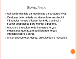 BIOMECÂNICA
 Aplicação das leis da mecânicas a estruturas vivas.
 Qualquer deformidade ou alteração muscular, irá
influenciar na estabilidade, levando o animal a
buscar adaptações para manter a postura.
 A postura é resultante de inúmeras forças
musculares que atuam equilibrando forças
impostas sobre o corpo.
 Sistema locomotor: ossos, articulações e músculos.
 