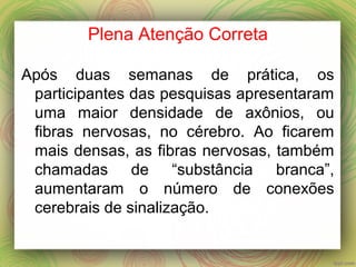 Plena Atenção Correta
Após duas semanas de prática, os
participantes das pesquisas apresentaram
uma maior densidade de axônios, ou
fibras nervosas, no cérebro. Ao ficarem
mais densas, as fibras nervosas, também
chamadas de “substância branca”,
aumentaram o número de conexões
cerebrais de sinalização.
 