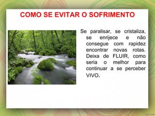 COMO SE EVITAR O SOFRIMENTO
Se paralisar, se cristaliza,
se enrijece e não
consegue com rapidez
encontrar novas rotas.
Deixa de FLUIR, como
seria o melhor para
continuar a se perceber
VIVO.
 