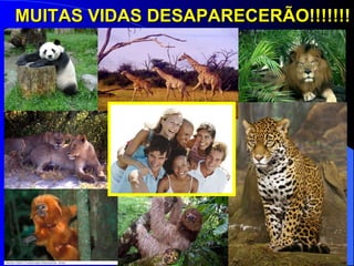 MUITAS VIDAS DESAPARECERÃO!!!!!!! 