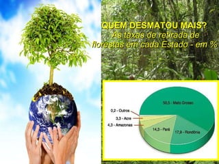 QUEM DESMATOU MAIS?   As taxas de retirada de florestas em cada Estado - em % 