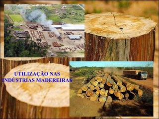 UTILIZAÇÃO NAS INDÚSTRIAS MADEREIRAS 