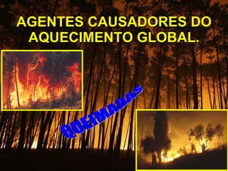AGENTES CAUSADORES DO AQUECIMENTO GLOBAL. QUEIMADAS 