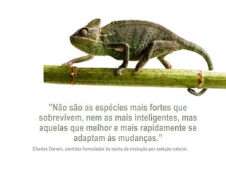 "Não são as espécies mais fortes que 
sobrevivem, nem as mais inteligentes, mas 
aquelas que melhor e mais rapidamente se 
adaptam às mudanças.” 
Charles Darwin, cientista formulador da teoria da evolução por seleção natural. 
