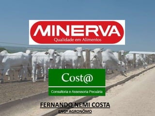 FERNANDO NEMI COSTA
    ENGº AGRONÔMO
 