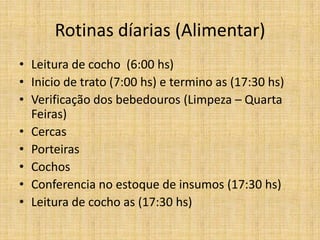 Rotinas díarias (Alimentar)
• Leitura de cocho (6:00 hs)
• Inicio de trato (7:00 hs) e termino as (17:30 hs)
• Verificação dos bebedouros (Limpeza – Quarta
  Feiras)
• Cercas
• Porteiras
• Cochos
• Conferencia no estoque de insumos (17:30 hs)
• Leitura de cocho as (17:30 hs)
 
