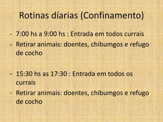 Rotinas díarias (Confinamento)
- 7:00 hs a 9:00 hs : Entrada em todos currais
- Retirar animais: doentes, chibumgos e refugo
  de cocho

- 15:30 hs as 17:30 : Entrada em todos os
  currais
- Retirar animais: doentes, chibumgos e refugo
  de cocho
 