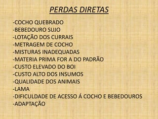 PERDAS DIRETAS
-COCHO QUEBRADO
-BEBEDOURO SUJO
-LOTAÇÃO DOS CURRAIS
-METRAGEM DE COCHO
-MISTURAS INADEQUADAS
-MATERIA PRIMA FOR A DO PADRÃO
-CUSTO ELEVADO DO BOI
-CUSTO ALTO DOS INSUMOS
-QUALIDADE DOS ANIMAIS
-LAMA
-DIFICULDADE DE ACESSO Á COCHO E BEBEDOUROS
-ADAPTAÇÃO
 