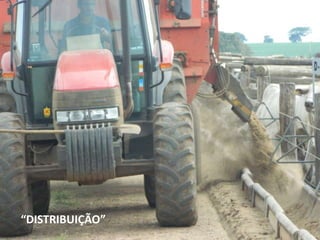 “DISTRIBUIÇÃO”
 