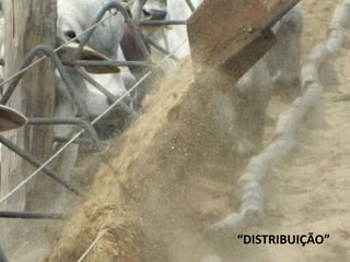 “DISTRIBUIÇÃO”
 
