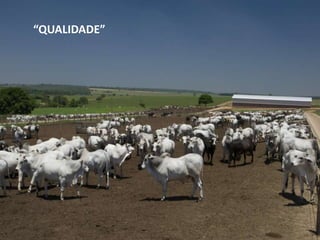 “QUALIDADE”
 
