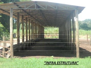 “INFRA ESTRUTURA”
 