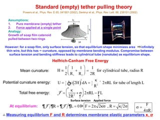 Standard (empty) tether pulling theory
Powers et al., Phys. Rev. E 65, 041901 (2002), Derényi et al., Phys. Rev. Lett. 88, 238101 (2002)
Assumptions:
1. Pure membrane (empty) tether
2. Force applied at a single point
Analogy:
Growth of soap film catenoid
pulled between two rings
However: for a soap film, only surface tension, so that equilibrium shape minimizes area infinitely
thin wire, but this has ∞ curvature, opposed by membrane bending modulus. Compromise between
surface tension and bending stiffness leads to cylindrical tube (nanotube) as equilibrium shape.
Helfrich-Canham Free Energy
Mean curvature: H º
1
2
1
R1
+
1
R2
æ
èç
ö
ø÷ =
1
2R
for cylindrical tube, radius R
Potential curvature energy: U = 1
2
k 2H( )
A
ò
2
dA = 1
2
k
R2
´ 2pRL for tube of length L
F =
k
2R2
+ s
æ
èç
ö
ø÷ 2pRL - FLTotal free energy:
Surface tension Applied force
¶F ¶R = ¶F ¶L = 0 Þ F = 2p 2ks , R = k 2sAt equilibrium:
∴ Measuring equilibrium F and R determines membrane elastic parameters κ, σ
s =
F
4pR
 