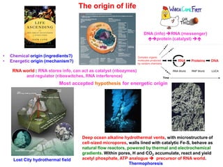 The origin of life
DNA (info) RNA (messenger)
protein (catalyst) 
RNA world : RNA stores info, can act as catalyst (ribozymes)
and regulator (riboswitches, RNA interference)
• Chemical origin (ingredients?)
• Energetic origin (mechanism?)
Most accepted hypothesis for energetic origin
Lost City hydrothermal field
Deep ocean alkaline hydrothermal vents, with microstructure of
cell-sized micropores, walls lined with catalytic Fe-S, behave as
natural flow reactors, powered by thermal and electrochemical
gradients. Within pores, H and CO2 accumulate, react and yield
acetyl phosphate, ATP analogue  precursor of RNA world.
Thermophoresis
 