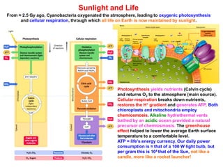 Sunlight and Life
From ≈ 2.5 Gy ago, Cyanobacteria oxygenated the atmosphere, leading to oxygenic photosynthesis
and cellular respiration, through which all life on Earth is now maintained by sunlight.
Photosynthesis yields nutrients (Calvin cycle)
and returns O2 to the atmosphere (main source).
Cellular respiration breaks down nutrients,
restores the H+ gradient and generates ATP. Both
chloroplasts and mitochondria employ
chemiosmosis. Alkaline hydrothermal vents
bathed by an acidic ocean provided a natural
precursor of chemiosmosis. The greenhouse
effect helped to lower the average Earth surface
temperature to a comfortable level.
ATP = life’s energy currency. Our daily power
consumption is ≈ that of a 100 W light bulb, but
per gram this is 104 that of the Sun, not like a
candle, more like a rocket launcher!
 