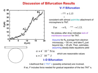 Discussion of Bifurcation Results
over
0
»1.15
consistent with almost point-like attachment of
microsphere to TNT.
No plateau after drop indicates lack of
membrane reservoir for TNT.
V–Y Bifurcation
Assume for R0 average from electron
microscopy, ~ 50 nm, and take F0 just
beyond dip, ~ 25 pN. Then, estimates
assuming steady-state equations yield
s » 4 ´10-5
N/m
k » 2 ´10-19
J
which are reasonable values
I–D Bifurcation
Likelihood that 2 TNT’s (possibly entwined) are involved.
If so, F includes force needed for gradual separation of the two TNT’s.
For ® 0, over
0
®1.13.
 