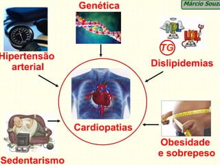 Márcio Souza
               Genética



                               TG
Hipertensão
   arterial                   Dislipidemias




               Cardiopatias
                               Obesidade
                               e sobrepeso
Sedentarismo
 