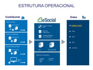 ESTRUTURA OPERACIONAL
Contribuinte

Entes

 