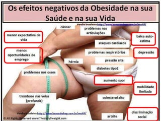 Prof. Me. Luciano Daniel Silva – CREF: 0073-G/SC
 