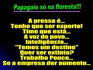 A pressa é... Tenho que ser experto! Time que está... A voz do povo... Inteligência... "Temos um destino" Quer ser extinto? Trabalho Pouco... Se a empresa der aumento... Papagaio só na floresta!!! 