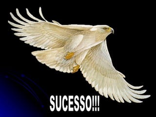 SUCESSO!!! 