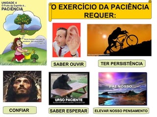 O EXERCÍCIO DA PACIÊNCIA
REQUER:
SABER OUVIR TER PERSISTÊNCIA
CONFIAR SABER ESPERAR ELEVAR NOSSO PENSAMENTO