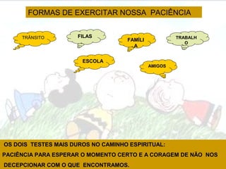 OS DOIS TESTES MAIS DUROS NO CAMINHO ESPIRITUAL:
PACIÊNCIA PARA ESPERAR O MOMENTO CERTO E A CORAGEM DE NÃO NOS
DECEPCIONAR COM O QUE ENCONTRAMOS.
FORMAS DE EXERCITAR NOSSA PACIÊNCIA
FAMÍLI
A
AMIGOS
TRÂNSITO FILAS
ESCOLA
TRABALH
O