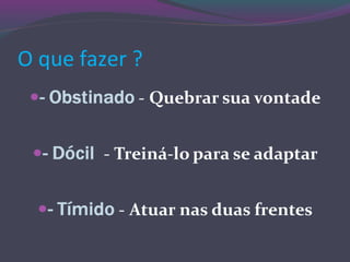 O que fazer ?
 