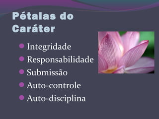 Integridade
Responsabilidade
Submissão
Auto-controle
Auto-disciplina
Pétalas do
Caráter
 