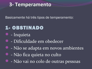 3- Temperamento
Basicamente há três tipos de temperamento:
1- OBSTINADO
 - Inquieta
 - Dificuldade em obedecer
 - Não se adapta em novos ambientes
 - Não fica quieta no culto
 - Não vai no colo de outras pessoas
 