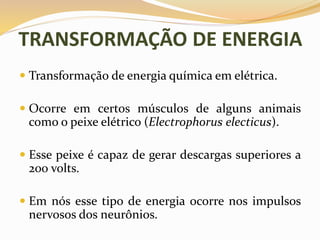 TRANSFORMAÇÃO DE ENERGIA
 Transformação de energia química em elétrica.
 Ocorre em certos músculos de alguns animais
como o peixe elétrico (Electrophorus electicus).
 Esse peixe é capaz de gerar descargas superiores a
200 volts.
 Em nós esse tipo de energia ocorre nos impulsos
nervosos dos neurônios.
 