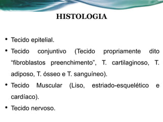 HISTOLOGIA
• Tecido epitelial.
• Tecido conjuntivo (Tecido propriamente dito
“fibroblastos preenchimento”, T. cartilaginoso, T.
adiposo, T. ósseo e T. sanguíneo).
• Tecido Muscular (Liso, estriado-esquelético e
cardíaco).
• Tecido nervoso.
 
