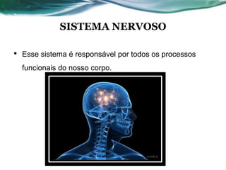 SISTEMA NERVOSO
• Esse sistema é responsável por todos os processos
funcionais do nosso corpo.
 