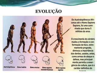 EVOLUÇÃO
 