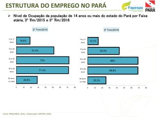  Nível de Ocupação da população de 14 anos ou mais do estado do Pará por Faixa
etária, 3º Trim/2015 e 3º Trim/2016
Fonte:...