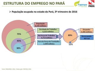 Fonte: PNAD/IBGE, 2016. / Elaboração: FAPESPA, 2016.
ESTRUTURA DO EMPREGO NO PARÁ
 População ocupada no estado do Pará, 3...