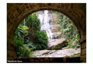 Floresta da Tijuca
 