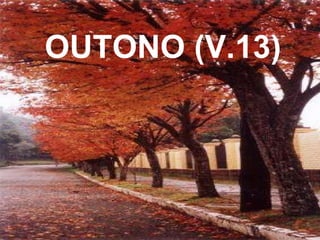 OUTONO (V.13) 