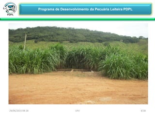 29/06/2015 08:18 4/28UFV
Programa de Desenvolvimento da Pecuária Leiteira PDPL
 Viagem Técnica em Coromandel-MG
 