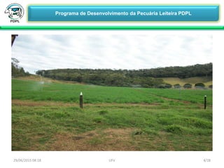 29/06/2015 08:18 4/28UFV
Programa de Desenvolvimento da Pecuária Leiteira PDPL
 Viagem Técnica em Coromandel-MG
 