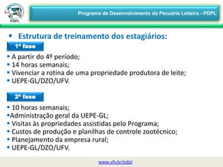  Estrutura de treinamento dos estagiários:
1ª fase
 A partir do 4º período;
 14 horas semanais;
 Vivenciar a rotina de uma propriedade produtora de leite;
 UEPE-GL/DZO/UFV.
2ª fase
 10 horas semanais;
Administração geral da UEPE-GL;
 Visitas às propriedades assistidas pelo Programa;
 Custos de produção e planilhas de controle zootécnico;
 Planejamento da empresa rural;
 UEPE-GL/DZO/UFV.
www.ufv.br/pdpl
Programa de Desenvolvimento da Pecuária Leiteira - PDPL
 