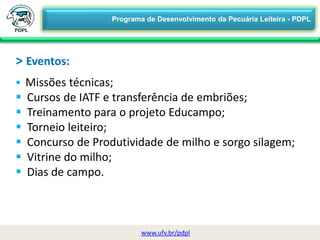 > Eventos:
 Missões técnicas;
 Cursos de IATF e transferência de embriões;
 Treinamento para o projeto Educampo;
 Torneio leiteiro;
 Concurso de Produtividade de milho e sorgo silagem;
 Vitrine do milho;
 Dias de campo.
29/06/2015 08:39 11/28UFV
www.ufv.br/pdpl
Programa de Desenvolvimento da Pecuária Leiteira - PDPL
 